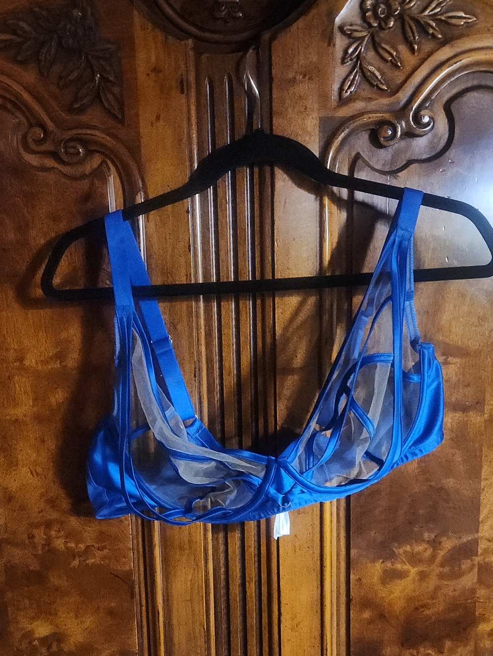 Playful Promises Ramona Cobalt Blue Strap Sheer Plunge  Bra 42 DD Gently Used
